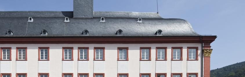 Medizinische Fakultät Heidelberg Medizinische Fakultät Heidelberg